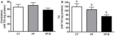 Functional Effects of EPS-Producing Bifidobacterium Administration on Energy Metabolic Alterations of Diet-Induced Obese Mice